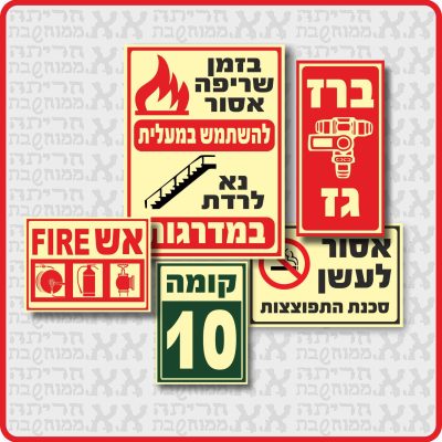 פולטי אור ראשי